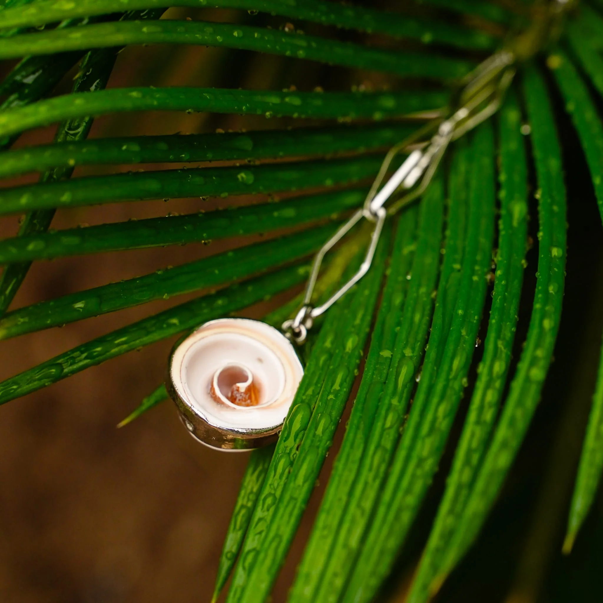 Fossil Necklace
